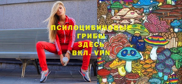 гидра Алзамай