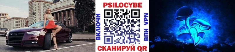 закладка Отрадный Псилоцибиновые грибы GOLDEN TEACHER